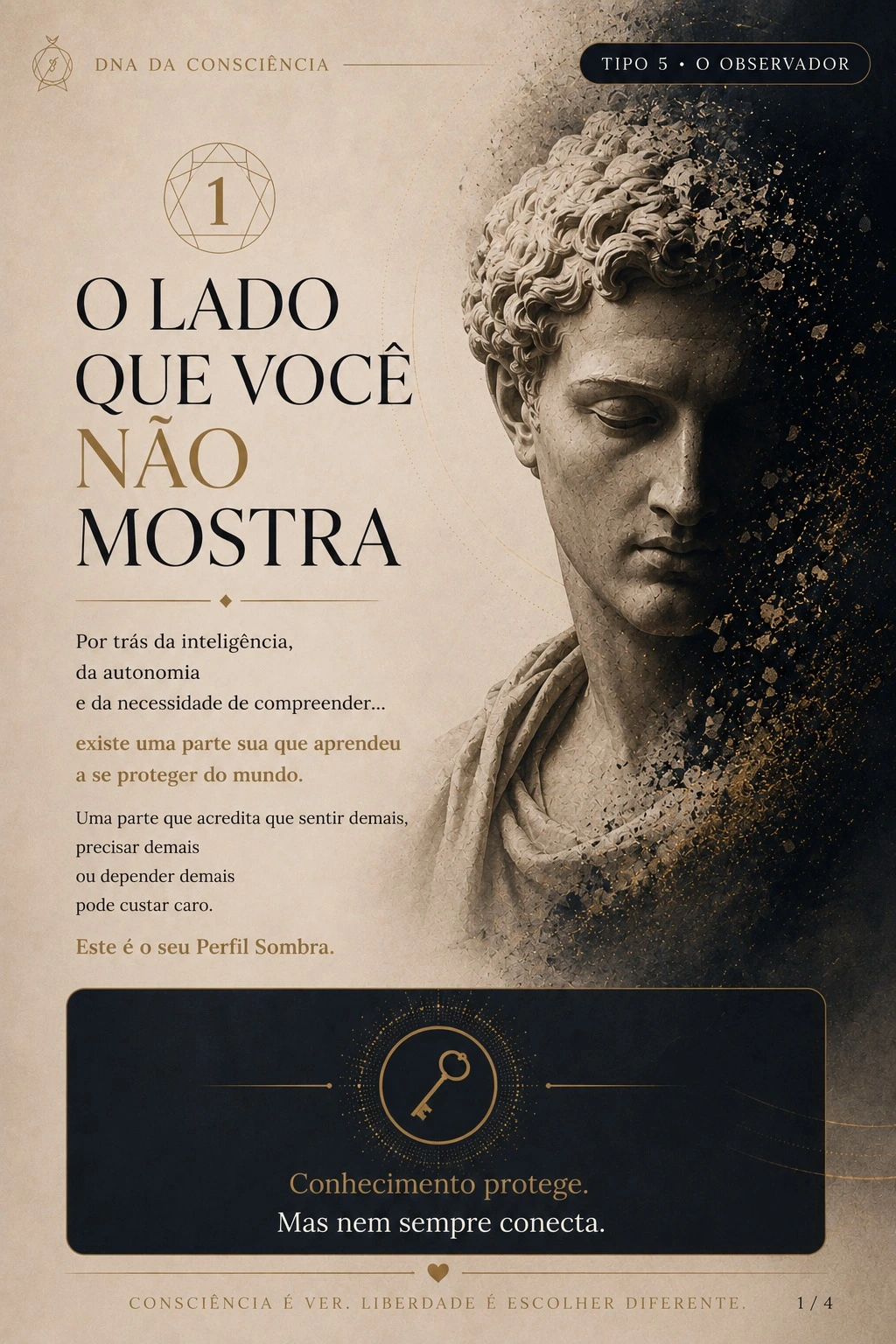 Página real do Perfil Sombra